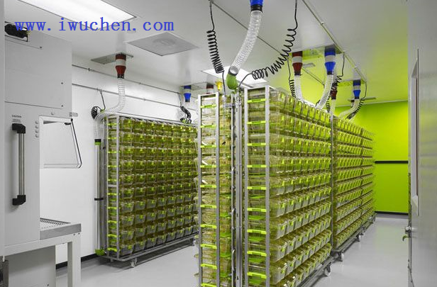 实验动物房 实验动物房